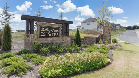 Thalley Creek Estates by D.R. Horton in Cumming - image