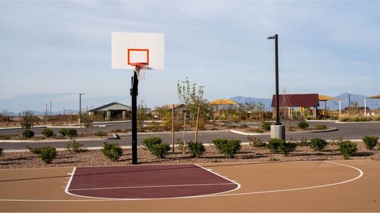 Bella Vista Farms: Discovery IV 7