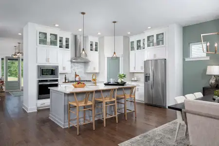Point Hope - Village Collection by David Weekley Homes in Charleston - image 9
