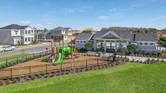 Persimmon Park - Garden Series by David Weekley Homes in Wesley Chapel - photo 57 57