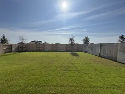 Nolina - 50' by Westin Homes in Georgetown - photo 14 14