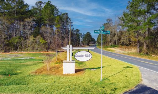 Country Walk by Dream Finders Homes in Winnabow - image