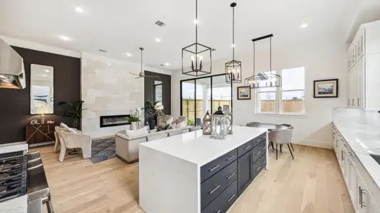 Monarch Oaks by InTown Homes in Houston - image 12