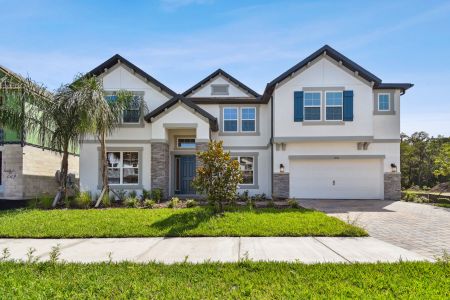 K-Bar Ranch Gilded Woods by M/I Homes in Tampa - photo 21 21