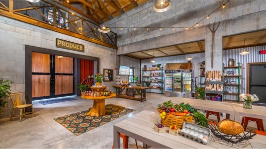 Arden: The Providence Collection 36