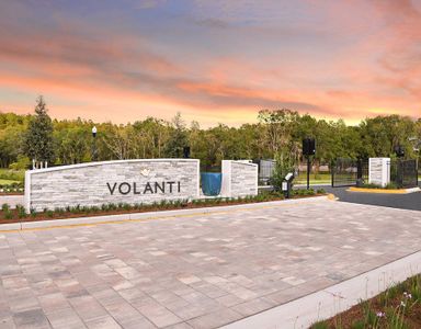Volanti by Mattamy Homes in Wesley Chapel - image