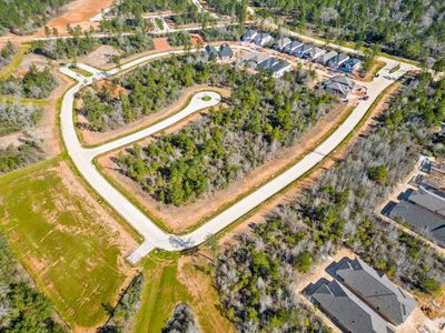 Kresston: 55ft. lots by Highland Homes in Montgomery - image 4