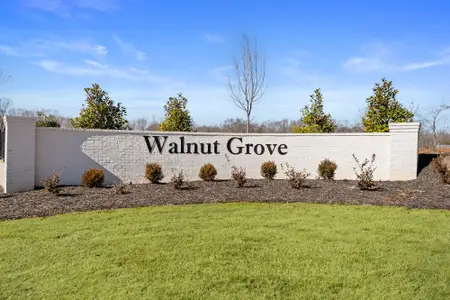 Walnut Grove by Mungo Homes in Easley - image