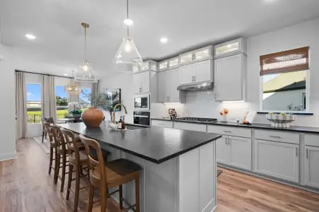 Parmer Ranch 50' by Coventry Homes in Georgetown - image 7