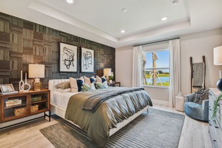 Coasterra by M/I Homes in Palmetto - image 7