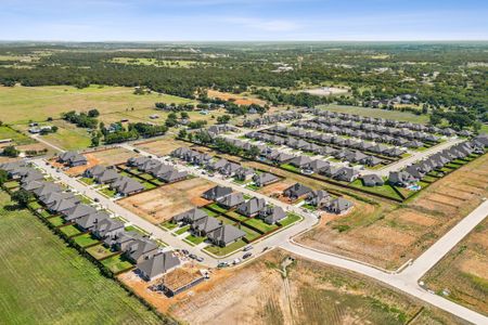 Mockingbird Hills by Risewell Homes in Joshua - image