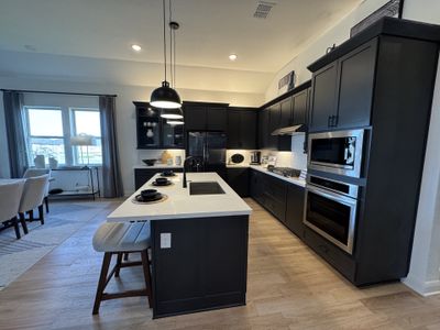 Carillon by Brightland Homes in Manor - photo 16 16