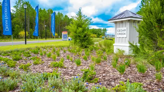 Cedar Creek by Dream Finders Homes in Jacksonville - photo 6 6