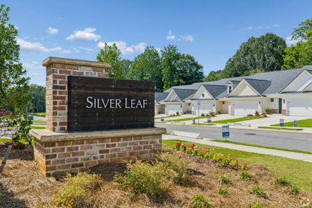 Silver Leaf by Kerley Family Homes in Dawsonville - image