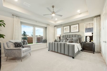 Wildflower Ranch 60-65 by Bloomfield Homes in Justin - image 10