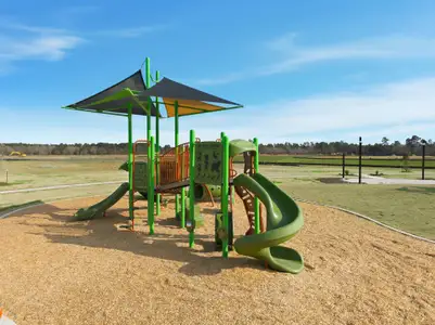 Lonestar Collection at Maple Woods 44