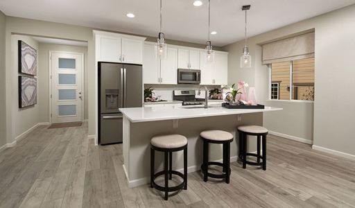 Seasons at Entrada Del Oro II by Richmond American Homes in Gold Canyon - photo 18 18