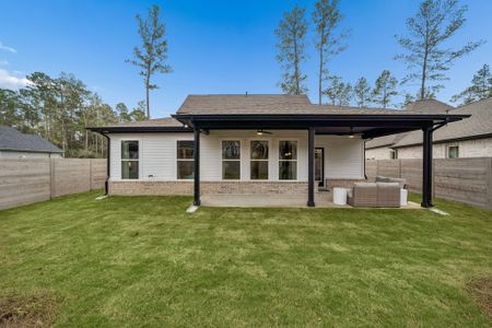 Two Step Farm by DSLD Homes in Montgomery - image 5