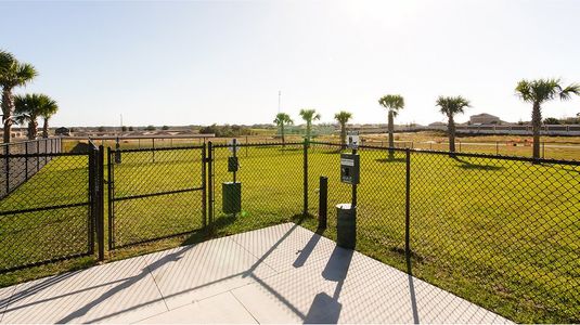 The Glades at Crossprairie: Arbor Alley 4