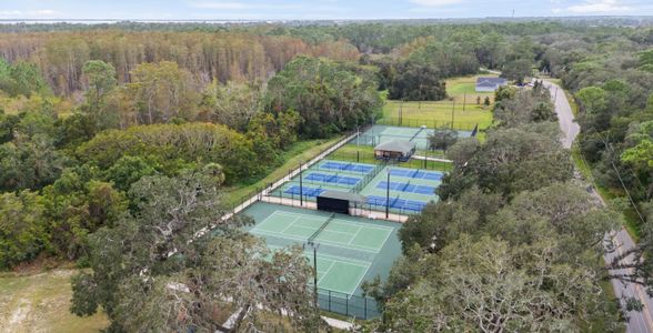 Pine Meadows by Lennar in Eustis - image