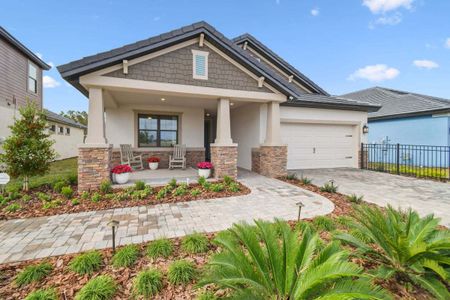 Tamarack at Two Rivers by William Ryan Homes in Zephyrhills - photo 12 12