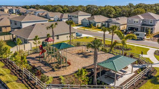 Solera at Lakewood Ranch by D.R. Horton in Lakewood Ranch - photo 9 9