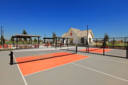 Pecan Square: 100ft. lots 36