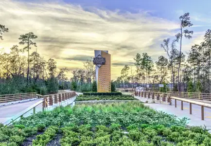 Grand Central Park: 40ft. lots by Highland Homes in Conroe - image