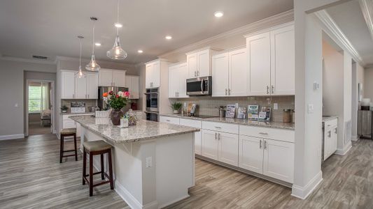 Egret’s Reserve by Maronda Homes in Merritt Island - photo 14 14