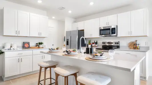 Solena by Taylor Morrison in North Fort Myers - image 18