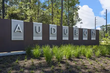 Audubon by Westin Homes in Magnolia - image