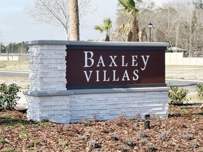 Baxley Villas by Drees Custom Homes in Middleburg - photo 1 1