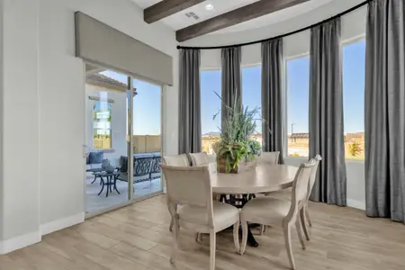 Reserve at Red Rock: Artisan Collection by Blandford Homes in Mesa - photo 23 23