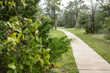 The Colony 50' - Coleton Meadow by David Weekley Homes in Bastrop - photo 14 14