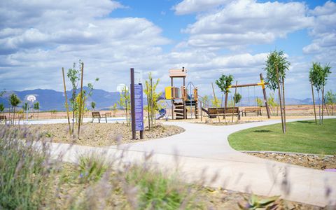 Laurel at Blossom Rock by Brookfield Residential in Apache Junction - photo 8 8