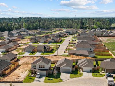 Moran Ranch by M/I Homes in Willis - photo 0