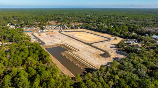 Buckeyes Landing by Herbst Homes in Navarre - image 12