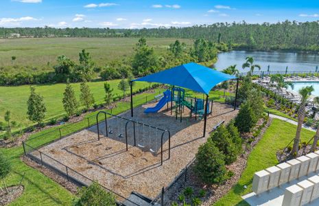 Cedar Grove at The Woodlands by Centex in North Port - photo 22 22