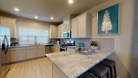 Sunterra by Colina Homes in Katy - photo 8 8