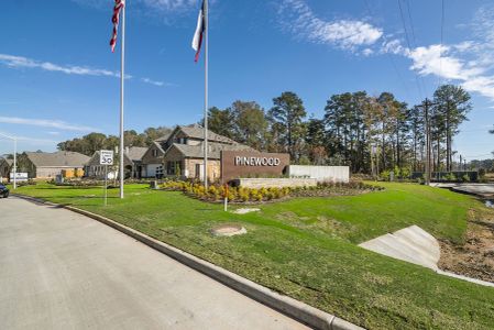 Pinewood at Grand Texas by M/I Homes in New Caney - photo 15 15