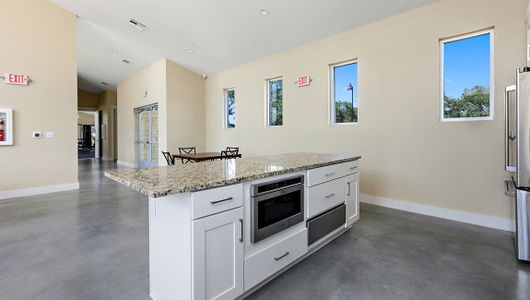 Lively Ranch Emerald by D.R. Horton in Georgetown - photo 86 86