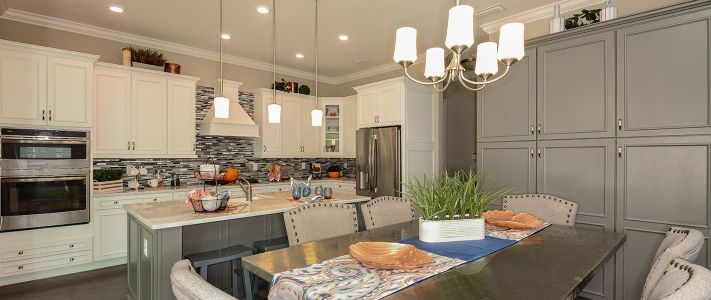 Bexley by ICI Homes in Land O' Lakes - photo 28 28