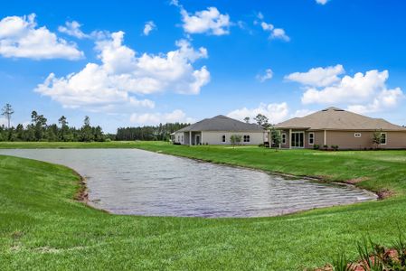 Sandy Creek by SEDA New Homes in Saint Augustine - photo 10 10