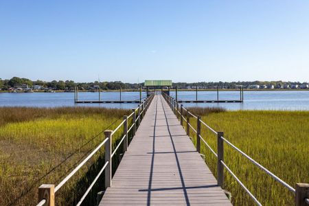 Rushland Plantation by Galloway Family Homes in Johns Island - photo 6 6