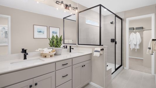 The Legacy Collection at Talon Pointe 10