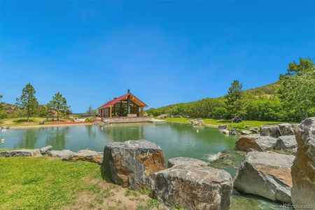 Crystal Valley Pine Ridge by D.R. Horton in Castle Rock - photo 27 27