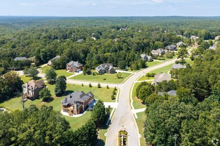 The Estates at Hurricane Pointe by Kerley Family Homes in Douglasville - image