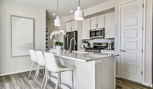 Urban Collection at Looking Glass by Richmond American Homes in Parker - photo 36 36