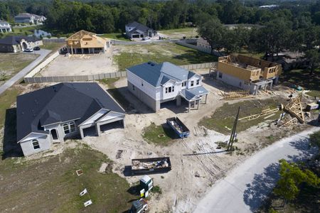 Francisco Park by M/I Homes in Oviedo - photo 7 7