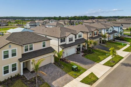 Cobblestone by M/I Homes in Zephyrhills - image 16